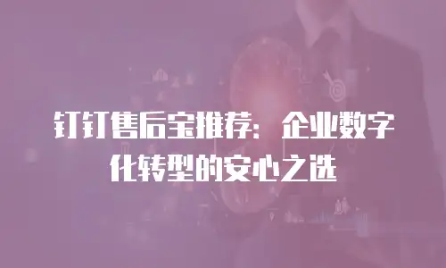 钉钉售后宝推荐：企业数字化转型的安心之选