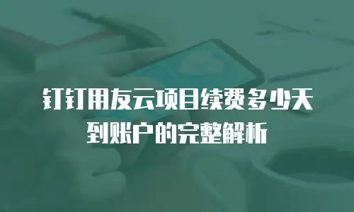 钉钉用友云项目续费多少天到账户的完整解析