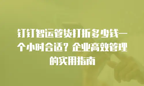 钉钉智运管货打折多少钱一个小时合适？企业高效管理的实用指南
