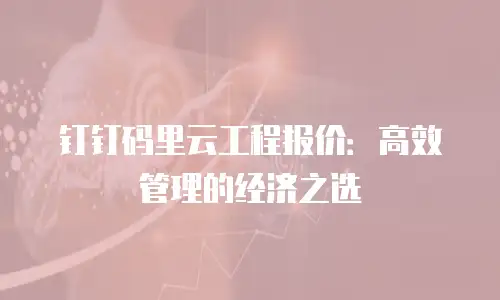 钉钉码里云工程报价：高效管理的经济之选