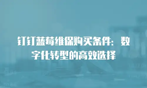 钉钉蓝莓维保购买条件：数字化转型的高效选择