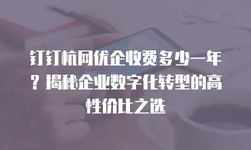 钉钉杭网优企收费多少一年？揭秘企业数字化转型的高性价比之选