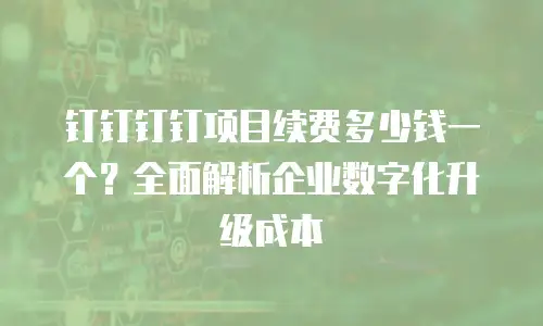 钉钉钉钉项目续费多少钱一个？全面解析企业数字化升级成本