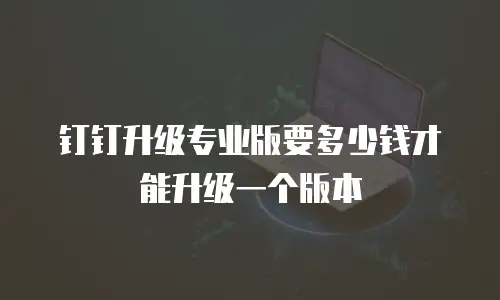 钉钉升级专业版要多少钱才能升级一个版本