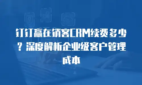 钉钉赢在销客CRM续费多少？深度解析企业级客户管理成本