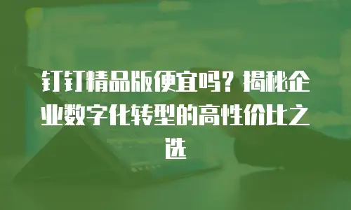 钉钉精品版便宜吗？揭秘企业数字化转型的高性价比之选