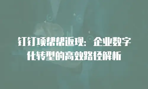 钉钉项帮帮返现：企业数字化转型的高效路径解析
