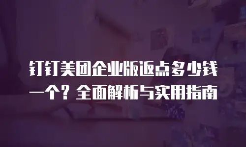 钉钉美团企业版返点多少钱一个？全面解析与实用指南