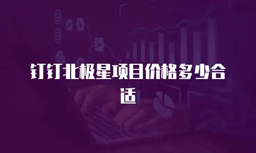 钉钉北极星项目价格多少合适