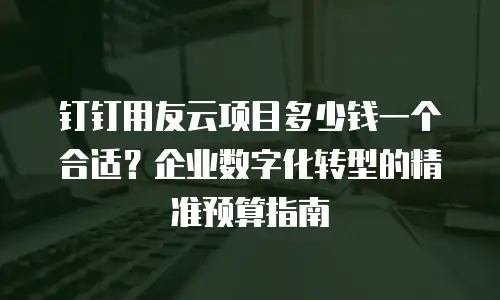 钉钉用友云项目多少钱一个合适？企业数字化转型的精准预算指南