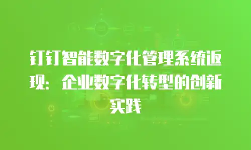钉钉智能数字化管理系统返现：企业数字化转型的创新实践