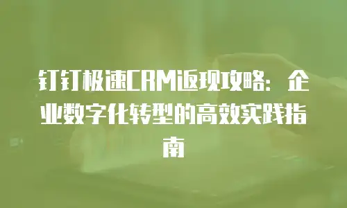 钉钉极速CRM返现攻略：企业数字化转型的高效实践指南