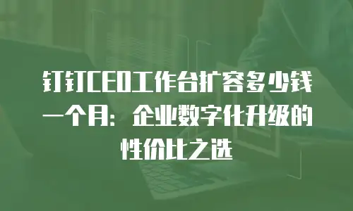 钉钉CEO工作台扩容多少钱一个月：企业数字化升级的性价比之选