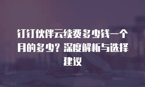 钉钉伙伴云续费多少钱一个月的多少？深度解析与选择建议