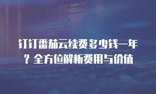 钉钉番茄云续费多少钱一年？全方位解析费用与价值