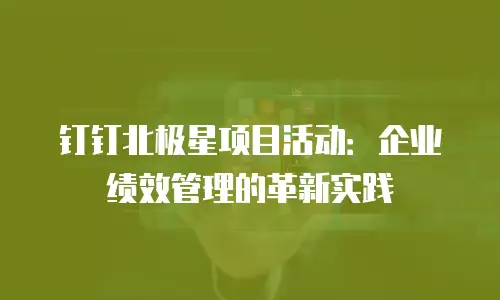 钉钉北极星项目活动：企业绩效管理的革新实践