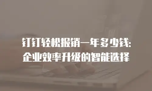 钉钉轻松报销一年多少钱：企业效率升级的智能选择