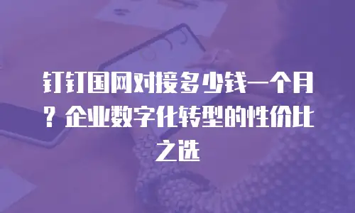 钉钉国网对接多少钱一个月？企业数字化转型的性价比之选