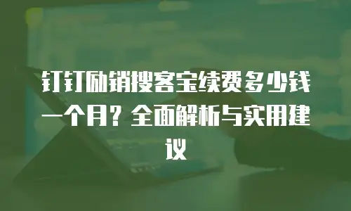 钉钉励销搜客宝续费多少钱一个月？全面解析与实用建议