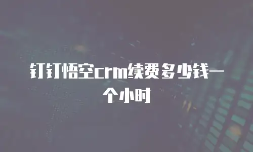 钉钉悟空crm续费多少钱一个小时