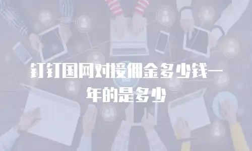钉钉国网对接佣金多少钱一年的是多少