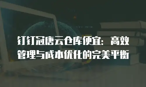 钉钉冠唐云仓库便宜：高效管理与成本优化的完美平衡