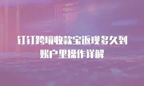 钉钉跨境收款宝返现多久到账户里操作详解