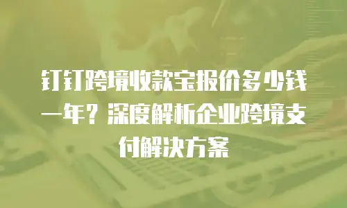 钉钉跨境收款宝报价多少钱一年？深度解析企业跨境支付解决方案