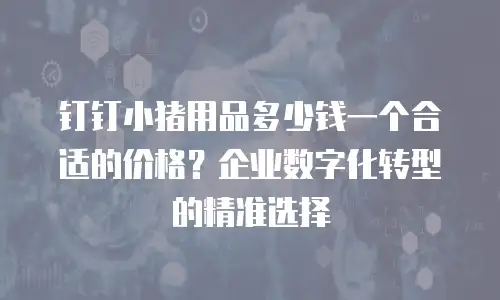 钉钉小猪用品多少钱一个合适的价格？企业数字化转型的精准选择