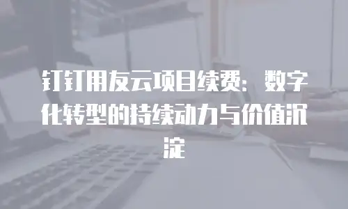 钉钉用友云项目续费：数字化转型的持续动力与价值沉淀
