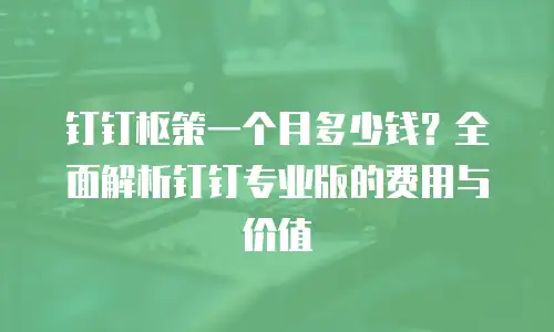 钉钉枢策一个月多少钱？全面解析钉钉专业版的费用与价值