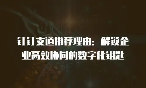钉钉支道推荐理由：解锁企业高效协同的数字化钥匙