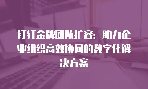 钉钉金牌团队扩容：助力企业组织高效协同的数字化解决方案