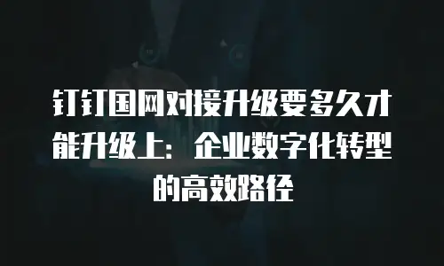 钉钉国网对接升级要多久才能升级上：企业数字化转型的高效路径