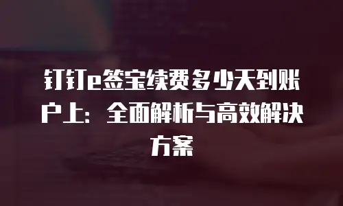 钉钉e签宝续费多少天到账户上：全面解析与高效解决方案