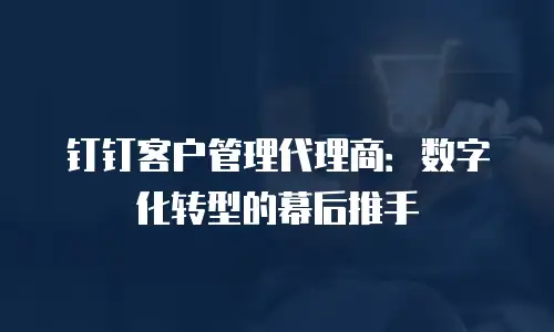 钉钉客户管理代理商：数字化转型的幕后推手