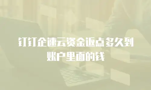 钉钉企速云资金返点多久到账户里面的钱