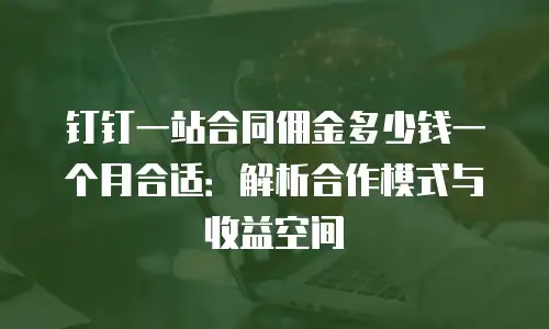 钉钉一站合同佣金多少钱一个月合适：解析合作模式与收益空间