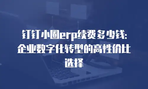钉钉小圈erp续费多少钱：企业数字化转型的高性价比选择