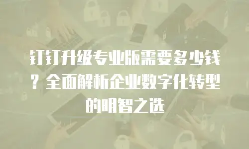 钉钉升级专业版需要多少钱？全面解析企业数字化转型的明智之选