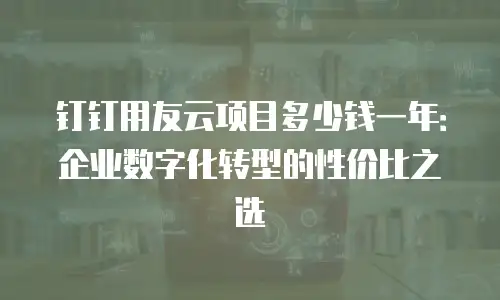 钉钉用友云项目多少钱一年：企业数字化转型的性价比之选
