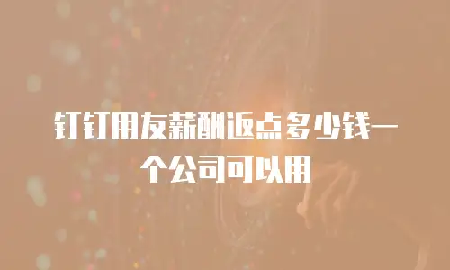 钉钉用友薪酬返点多少钱一个公司可以用
