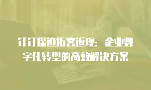 钉钉探迹拓客返现：企业数字化转型的高效解决方案