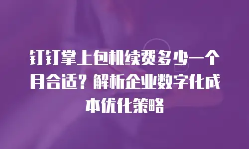 钉钉掌上包机续费多少一个月合适？解析企业数字化成本优化策略