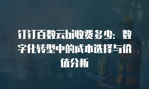 钉钉百数云bi收费多少：数字化转型中的成本选择与价值分析