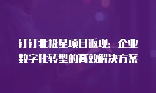钉钉北极星项目返现：企业数字化转型的高效解决方案