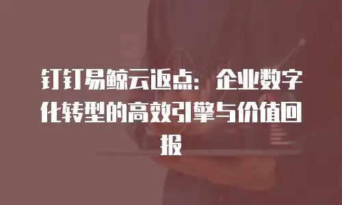钉钉易鲸云返点：企业数字化转型的高效引擎与价值回报
