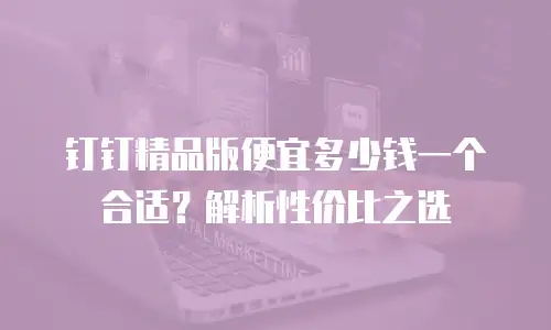 钉钉精品版便宜多少钱一个合适？解析性价比之选