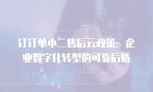 钉钉单小二售后云政策：企业数字化转型的可靠后盾