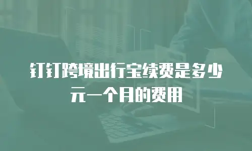 钉钉跨境出行宝续费是多少元一个月的费用